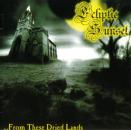 Ecliptic Sunset - From these dried lands (CD)