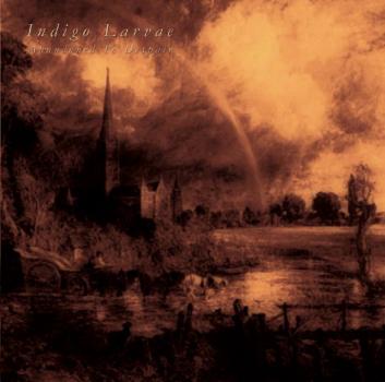 INDIGO LARVAE - Abandoned To Despair CD