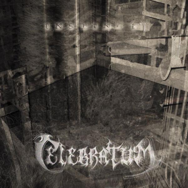 Celebratum - Instinct CD