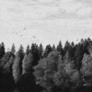 OCTOBER FALLS - A Collapse Of Faith (DIGI)