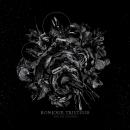 Bonjure Tristesse - Par Un Sourire (Digi)