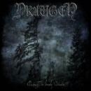 DRAUGEN - Among the Lonely Shades (CD)