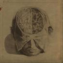 FARSOT - Insects (CD)