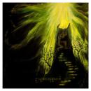 Vargsheim - Erleuchtung (CD)