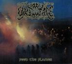 Vike Tare - Feed The Flames (CD)